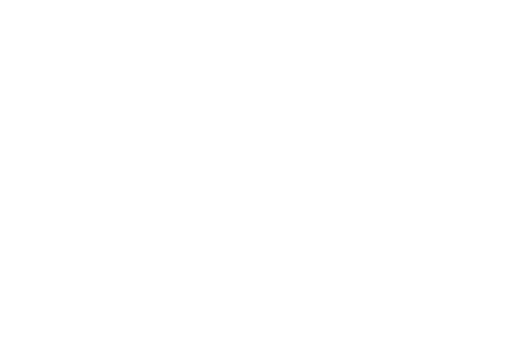 New Media FF 2022